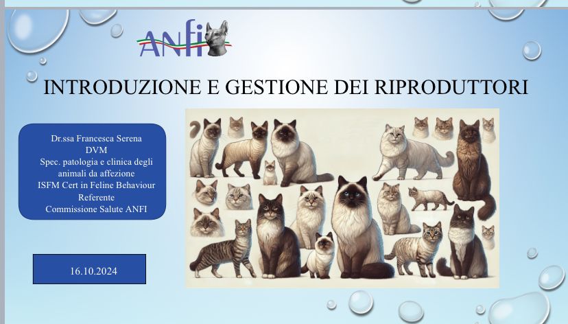 Webinar Anfi 1